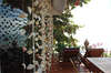 Rajapruek-Samui Resort 